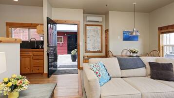 TV, fireplace, books