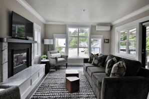 TV, fireplace, books