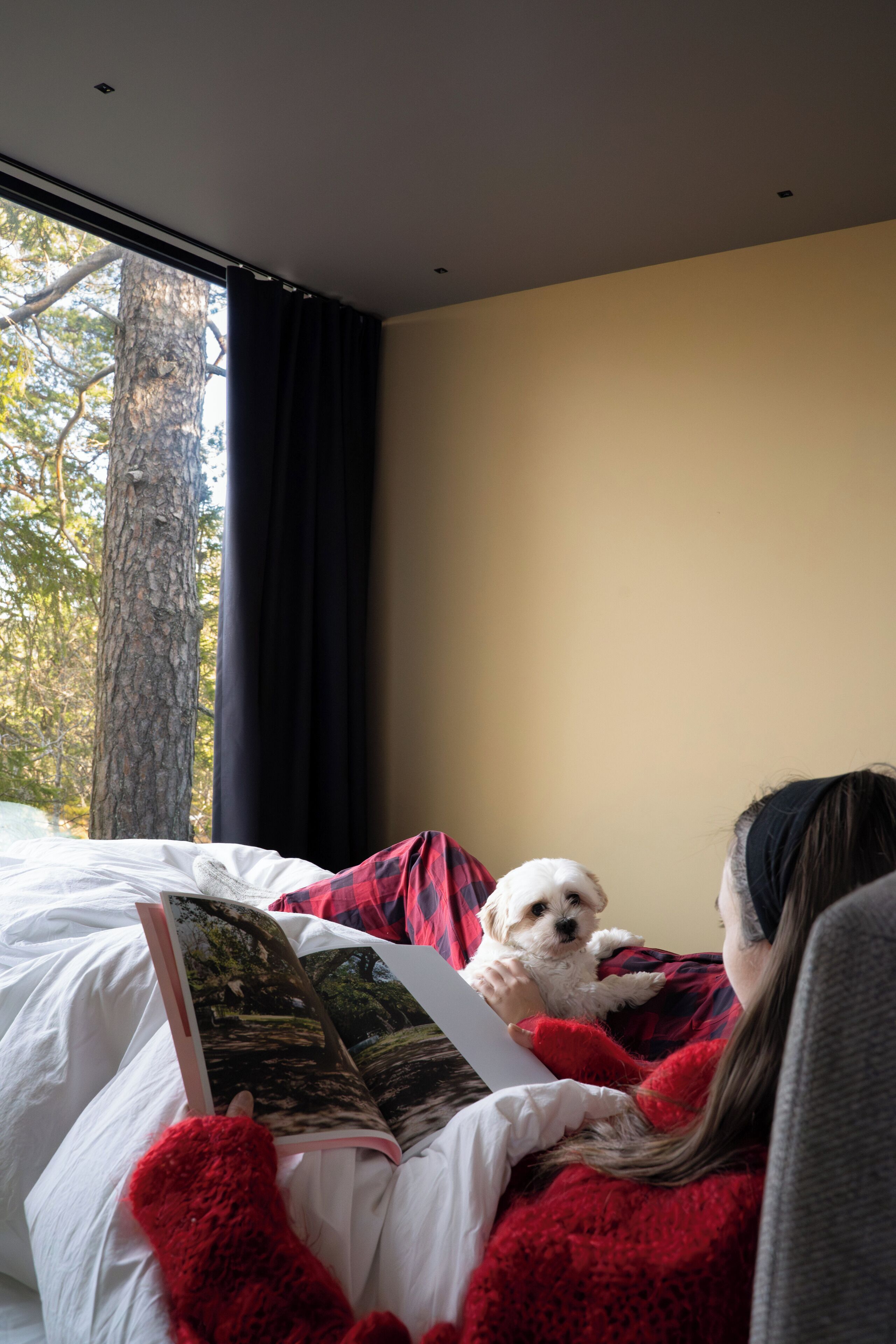 En person læser en bog med en lille hund på sengen, et vindue med udsigt til træer og en gardin.