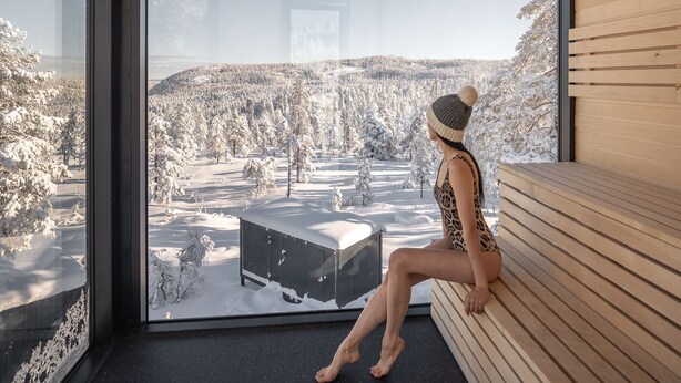 A modern interior with a large window offering a view of a snowy landscape. - Grend Blefjell (Flesberg)