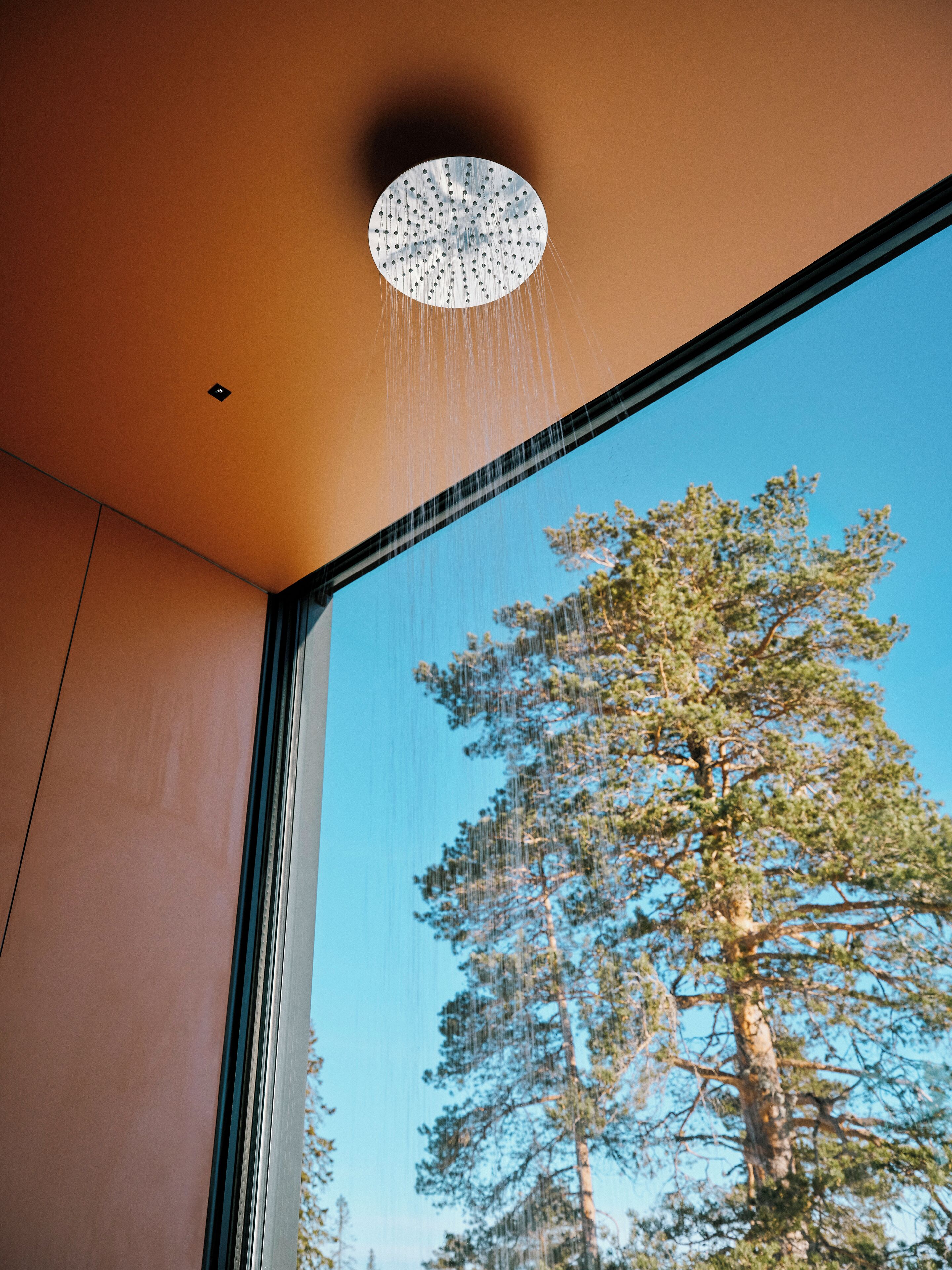 A showerhead with water spray, a window with a view of a tree, and a ceiling with a recessed light.