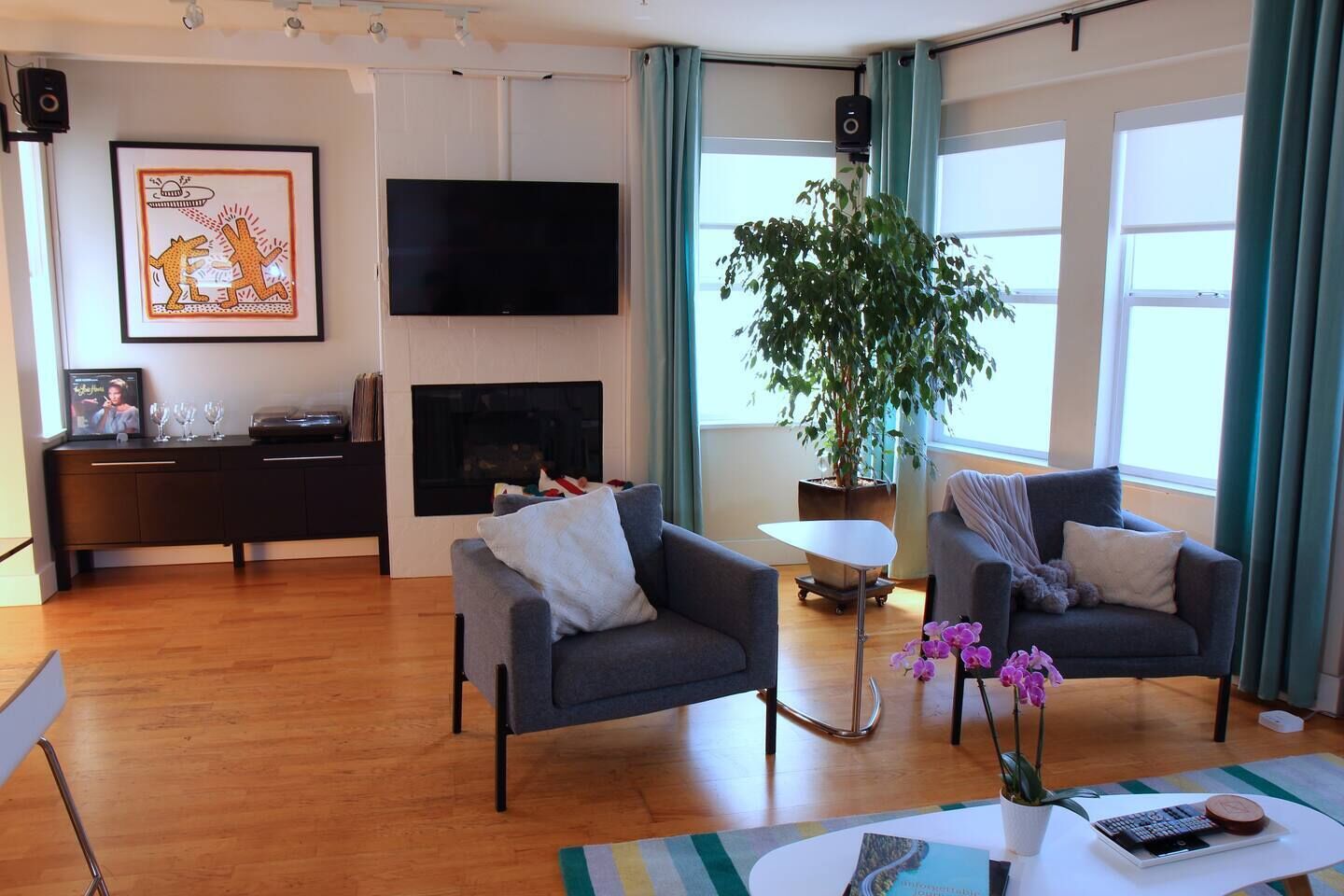 TV, fireplace, stereo, offices