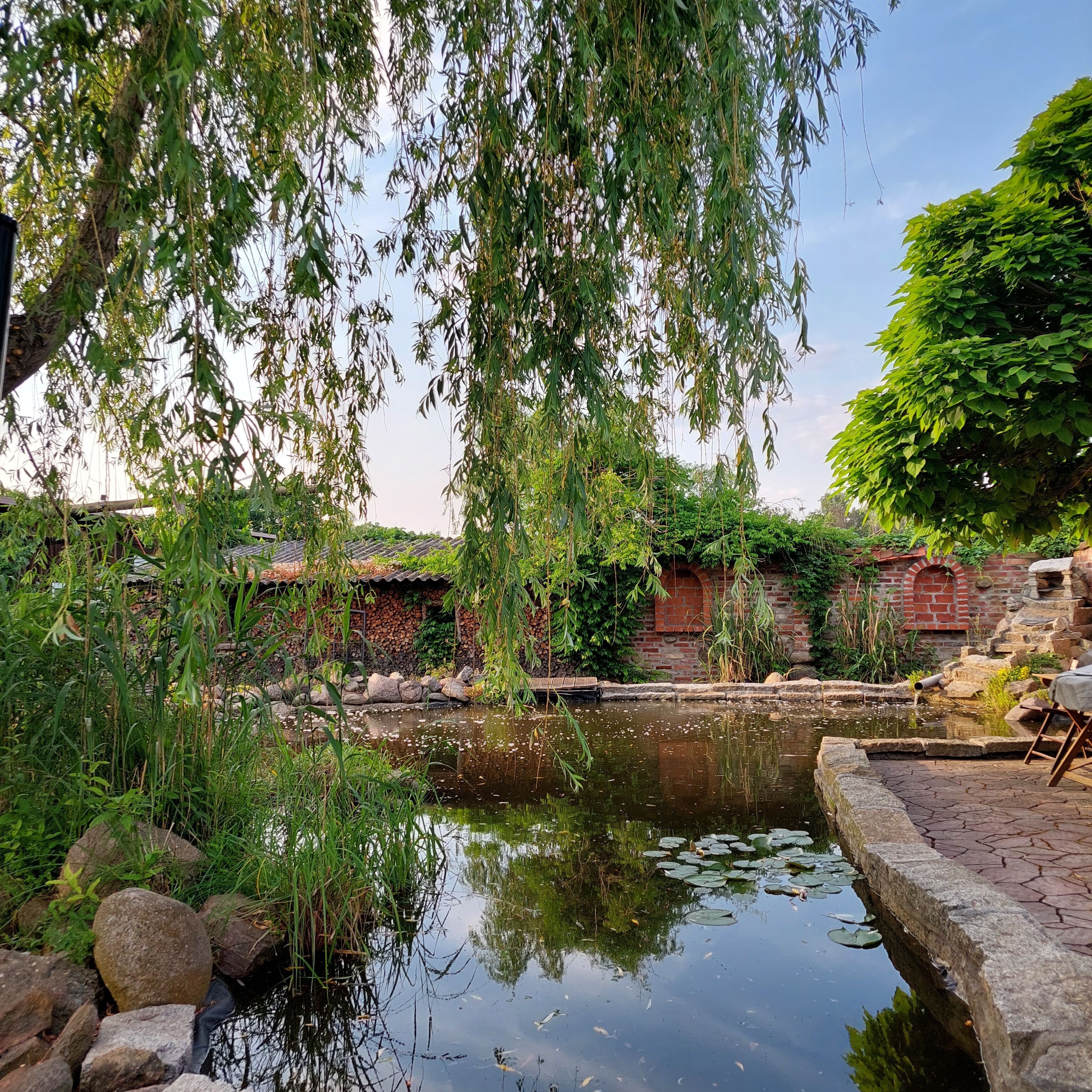 Terrein van de accommodatie