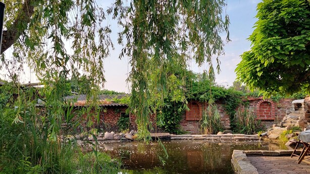 A tranquil pond with lily pads, surrounded by lush greenery and a traditional brick building.