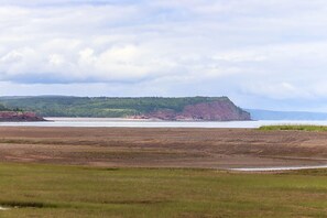 Un paysage côtier avec un premier plan herbeux, une étendue d’eau et une falaise boisée à l’horizon.