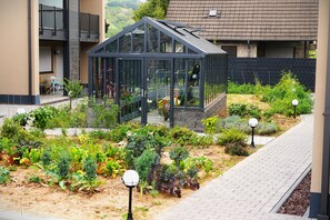 Un conservatorio con techo de cristal, rodeado por un jardín con diversas plantas y un sendero pavimentado.