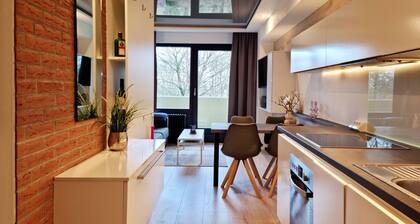 Stilvolle Ostseenahe Ferienwohnung Strandleben in Schönberg-Holm - Hunde kostenl