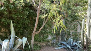 A garden with various plants, a stone wall, and a gravel path. - Les Glycines (Trausse)