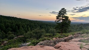 A rocky landscape with a prominent tree and dense forest in the background.