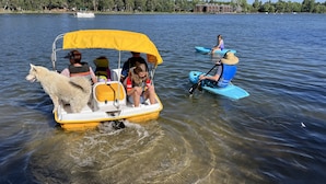 A boat with a yellow canopy and passengers, including a dog, on a calm lake.