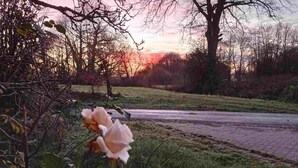 A garden with roses and a tree, a paved path, and a road in the background. - Le Houx Blanc: Stylish 3 star apartment with pool, private jacuzzi and terrace (Mantilly)