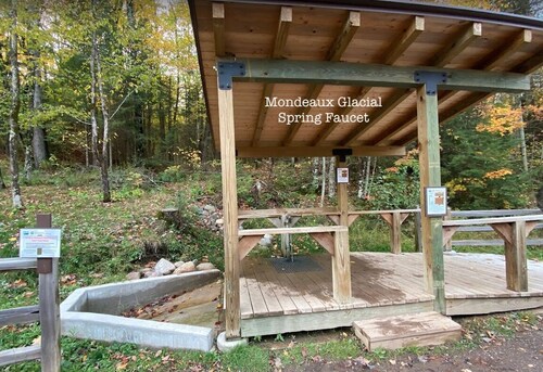 Charming house on wooded acreage near Sackett Lake with high speed internet, AC