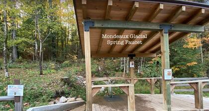 Charming house on wooded acreage near Sackett Lake with high speed internet, AC