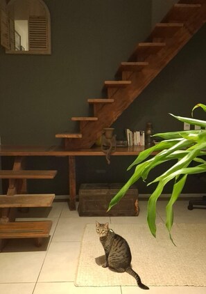 Eenvoudige suite | Interieur