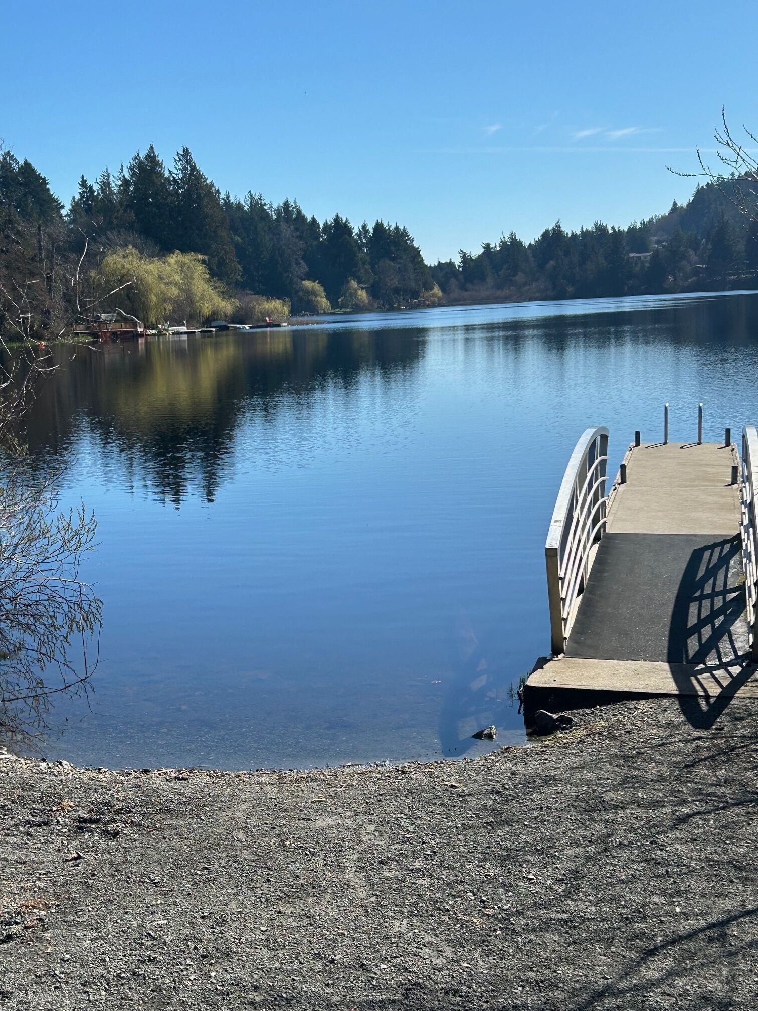 Un lago tranquilo con un muelle de madera que se adentra en el agua.