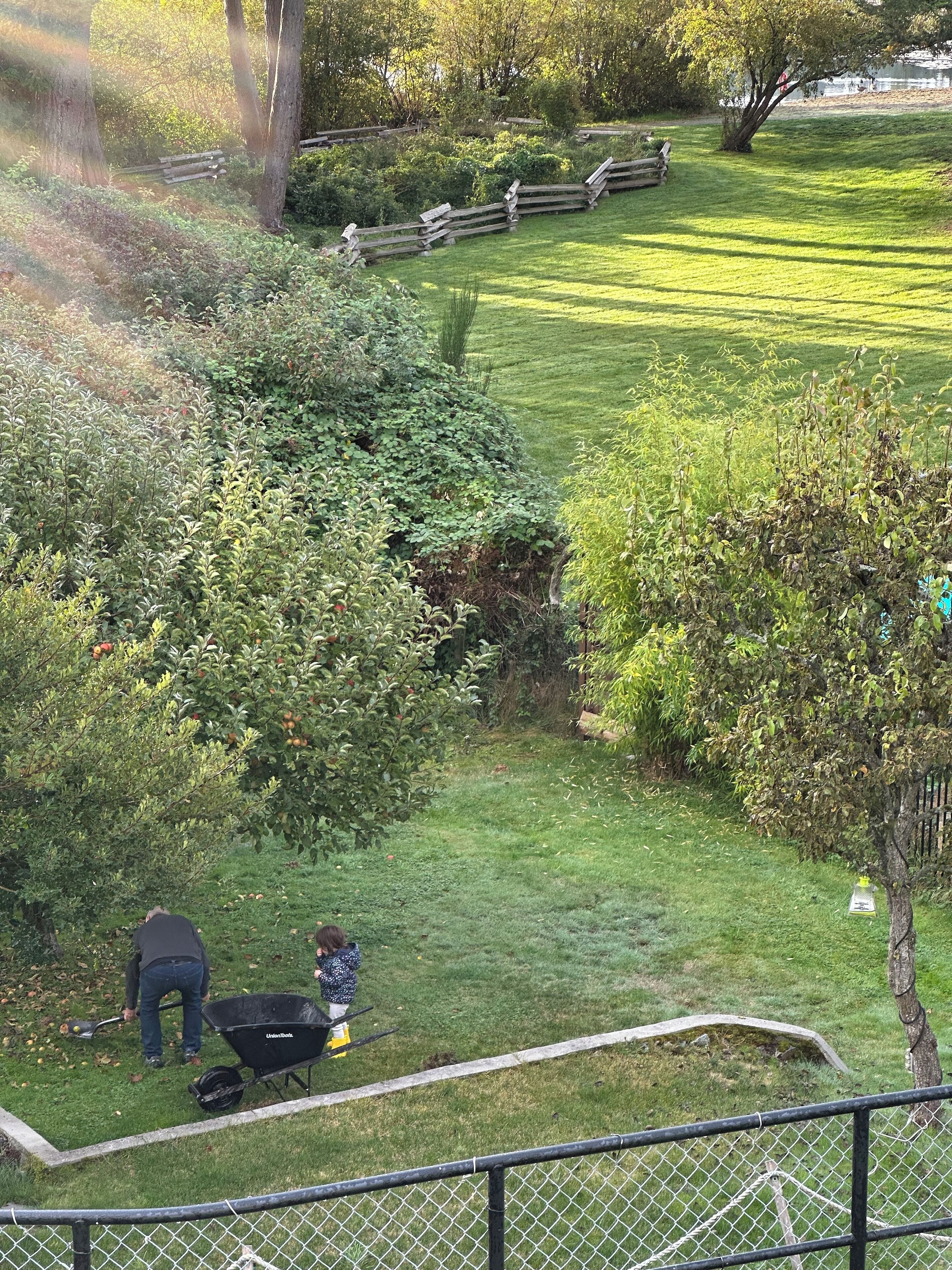 Ein von einer Holzlattenzaun umfasster Garten mit Rasen und Bäumen.
