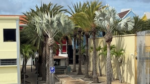 A parking area with palm trees, a blue parking sign, and a wheelchair-accessible parking space. - Central Boutique Hotel (Oranjestad)