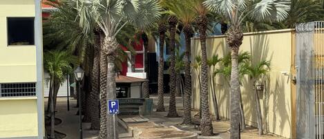 Een parkeerplaats met palmbomen, een blauw parkeersbord en een parkeerplaats voor mindervaliden.