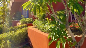 Property grounds - Stay at Casa Carnaval walking distance to Playa Moreno (Pampatar)