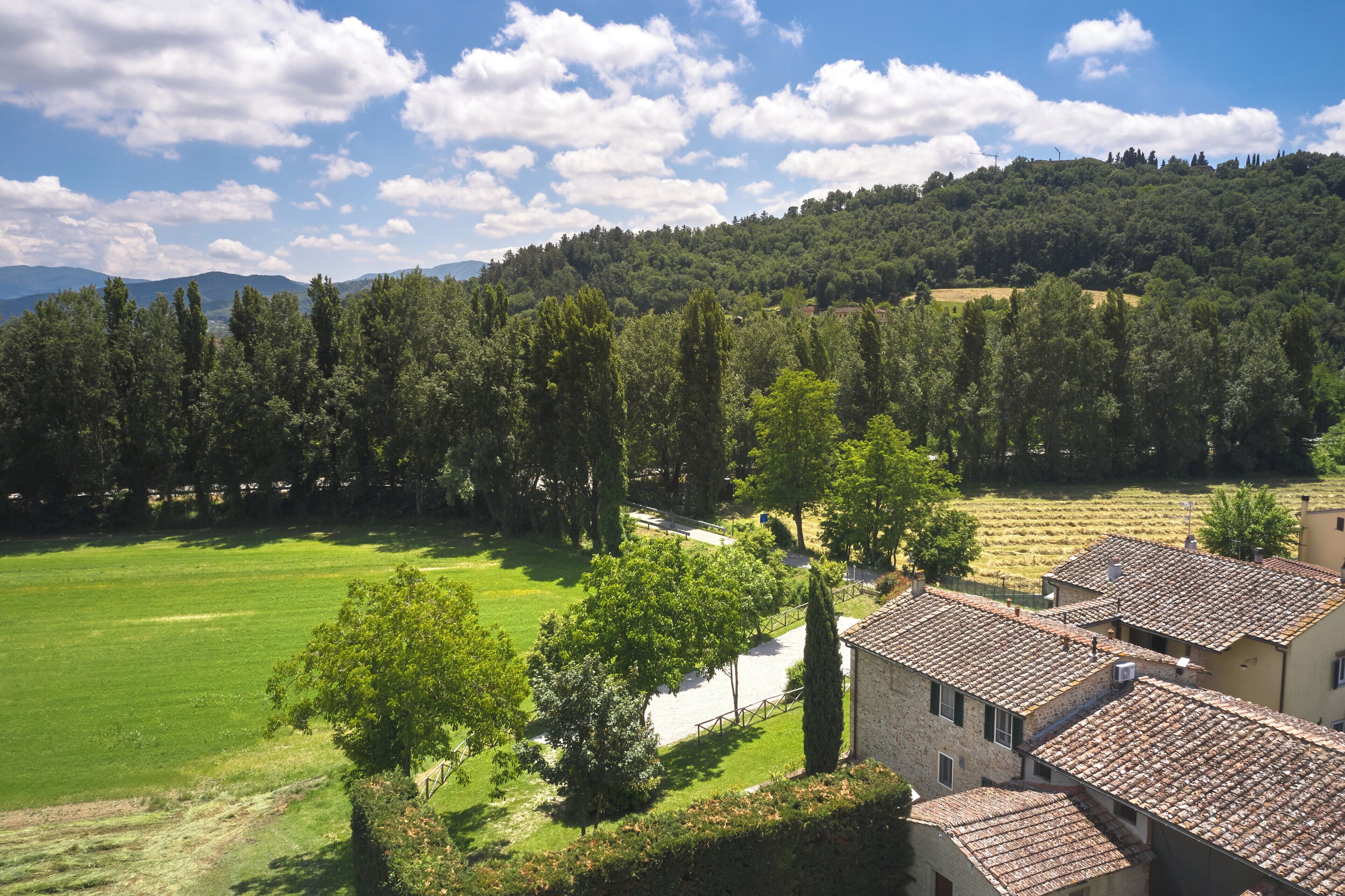A rural landscape with a green field, a row of buildings with tiled roofs, and a forested hill in the background.
