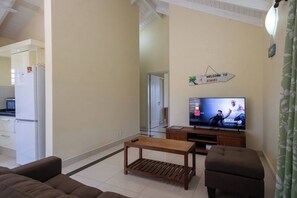 Televisión 