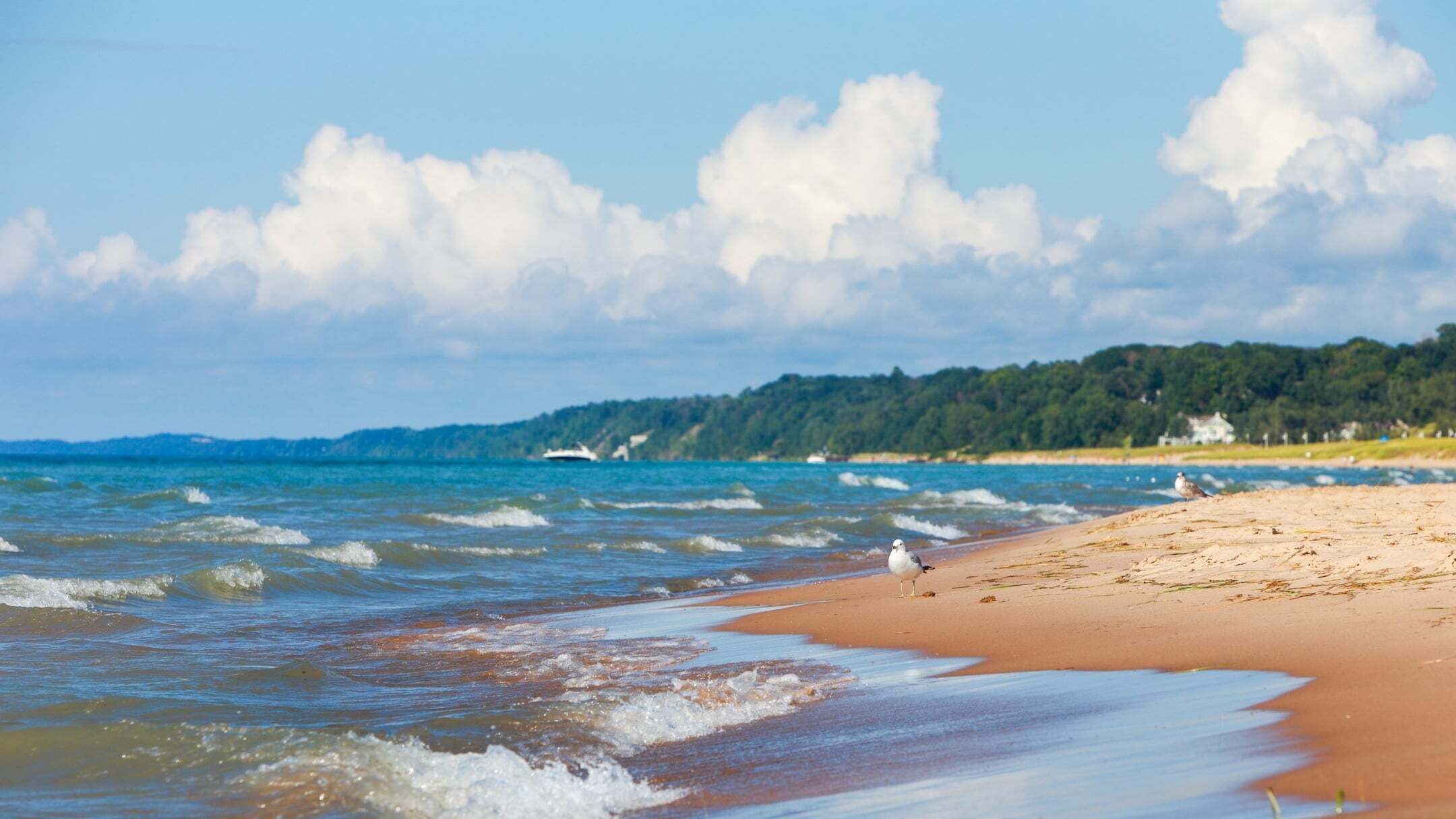 Une plage avec des vagues, une rive sablonneuse et une colline boisée en arrière-plan.