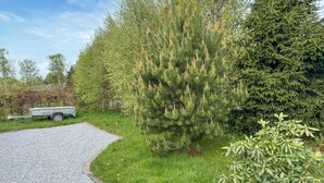 Uklassifisert bilde, 4 av 16, knapp