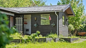 Une cabane rustique avec un toit en métal, une porte en bois et une petite fenêtre ornée d’un drapeau.