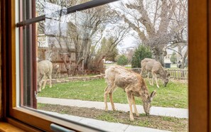 Interior - Sage Creek Hacienda - located in downtown Cody; sleeps 5! (Cody)