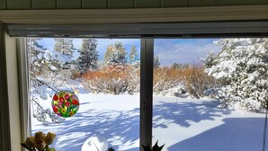 A window with a view of a snowy landscape, a stained glass window, and several potted plants on the windowsill. - Cozy cottage with river access and great outdoor adventures (La Pine)