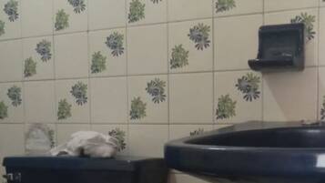 Serviettes fournies, savon, papier toilette