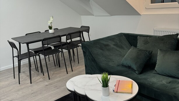 Un dormitorio tipo loft moderno con comedor, un sofá verde y una pequeña mesa redonda con una planta.