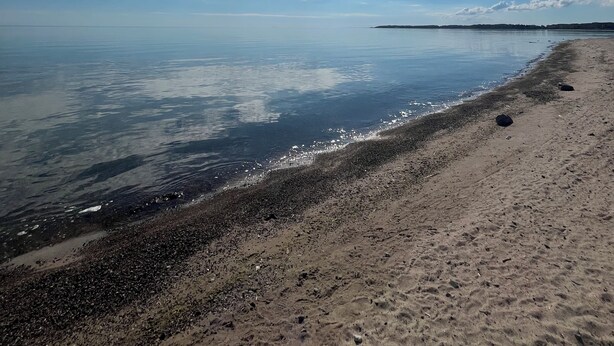 Een strand met heldere lucht en rustige zee.