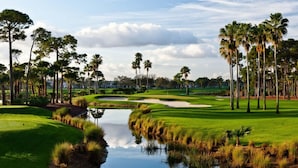 A golf course with a pond, palm trees, and a clear sky.