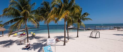 在海灘附近、躺椅