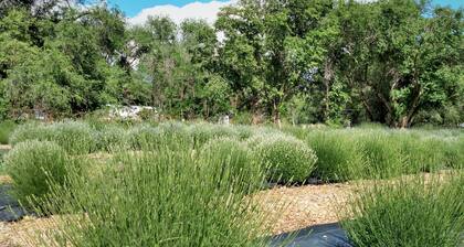 Urban Farmhouse - Bohemian Bloom and Herb Farm, Eagle ID