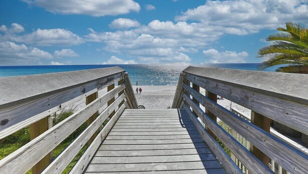 Une promenade en bois menant à une plage, avec un ciel dégagé et un palmier.