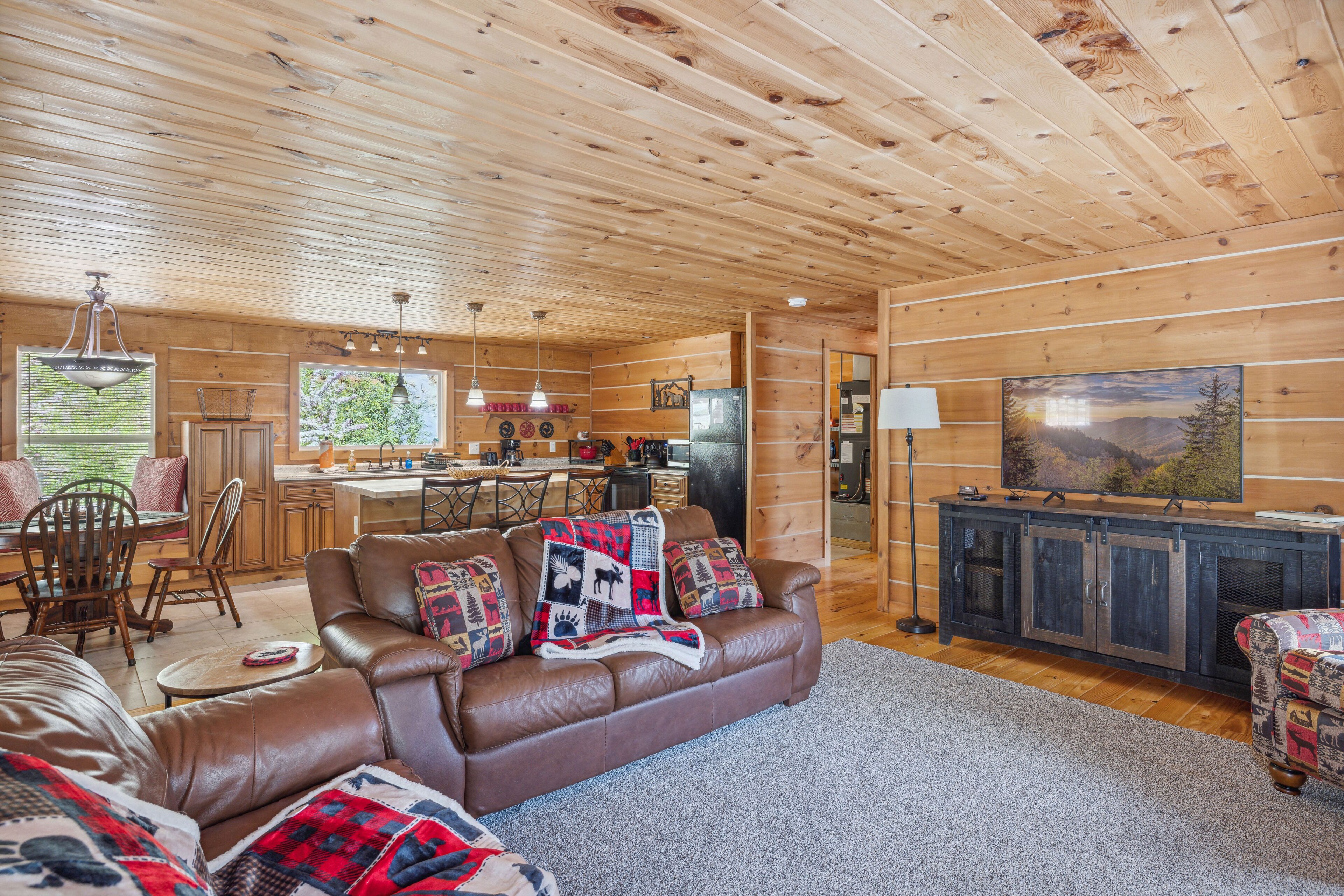 TV, fireplace, video games