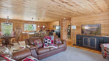 TV, fireplace, video games