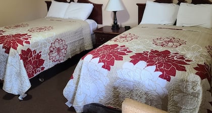 Best Quality Lowest Rates in the town