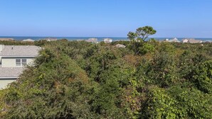A coastal residential area with houses and dense vegetation. - Cuckoo's Nest - 4 Bed, 2 Bath dog friendly home with pool, hot tub and tiki bar! (Southern Shores)