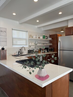 Kühlschrank, Mikrowelle, Ofen, Herdplatte