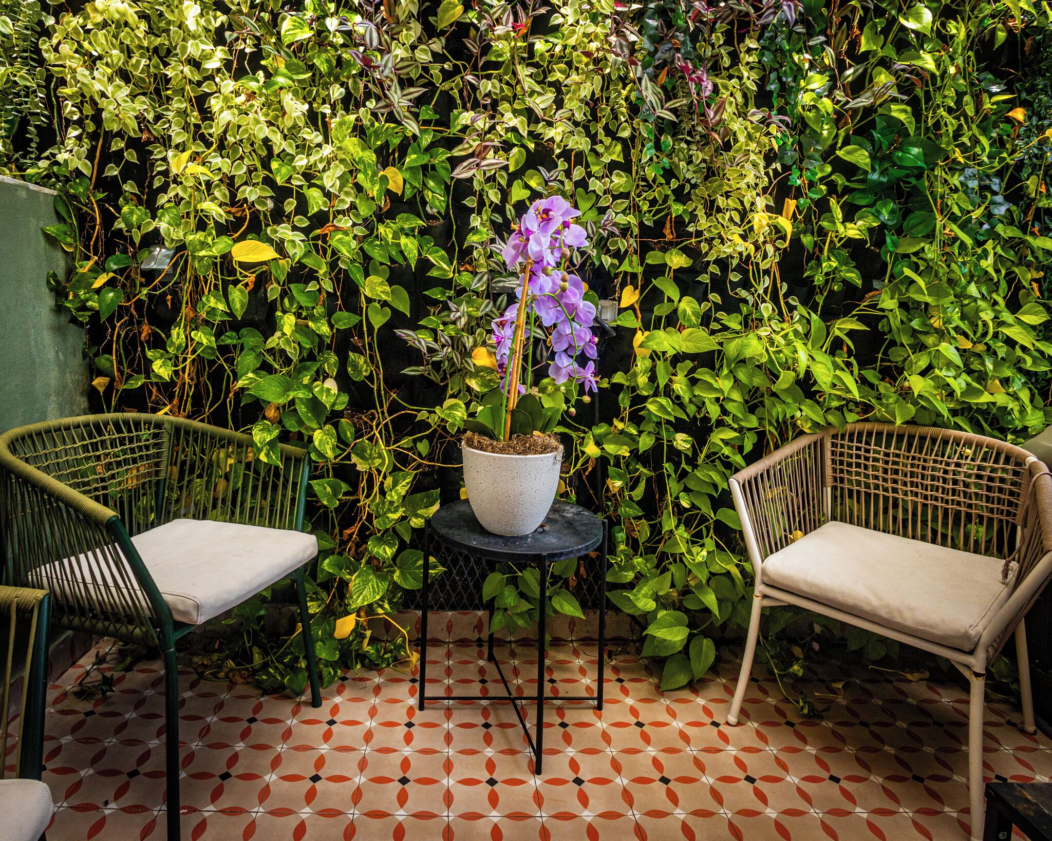 A small patio area with two wicker chairs, a table, and a potted orchid.