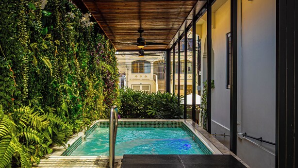 A swimming pool with a wooden pergola overhead, surrounded by lush greenery and a view of a building in the background.