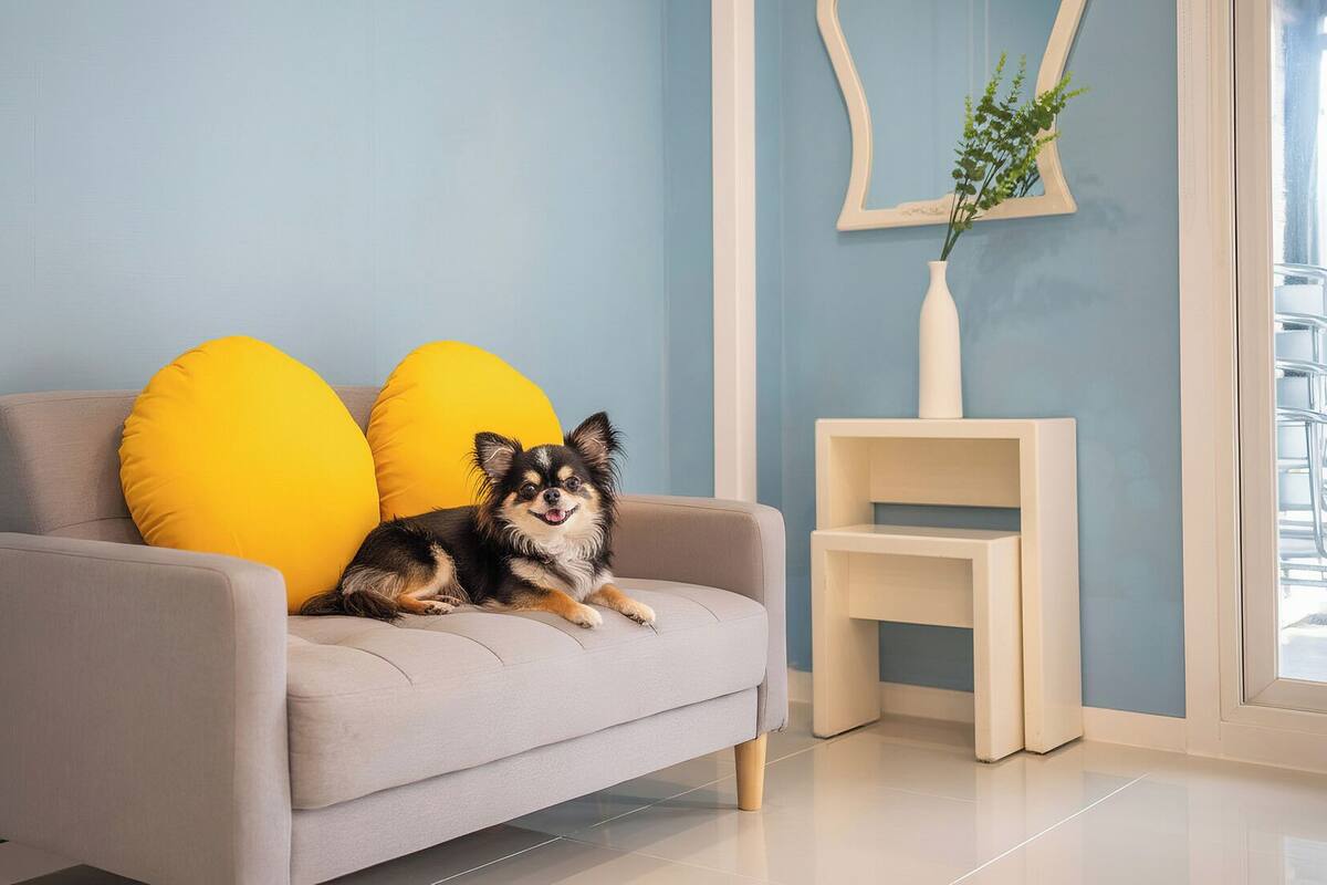 Basic Room, 1 Bedroom (102) | 1 bedroom, free WiFi