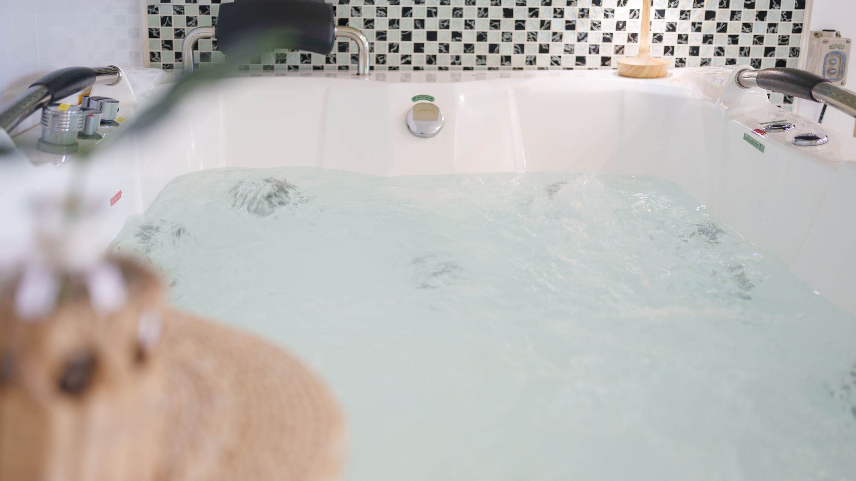 Perushuone, 1 makuuhuone (101) | 1 makuuhuone, ilmainen Wi-Fi