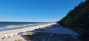 Una spiaggia con dune sabbiose, una fila di cabine balneari numerate da 12 a 17 e una scogliera ricoperta di bosco.