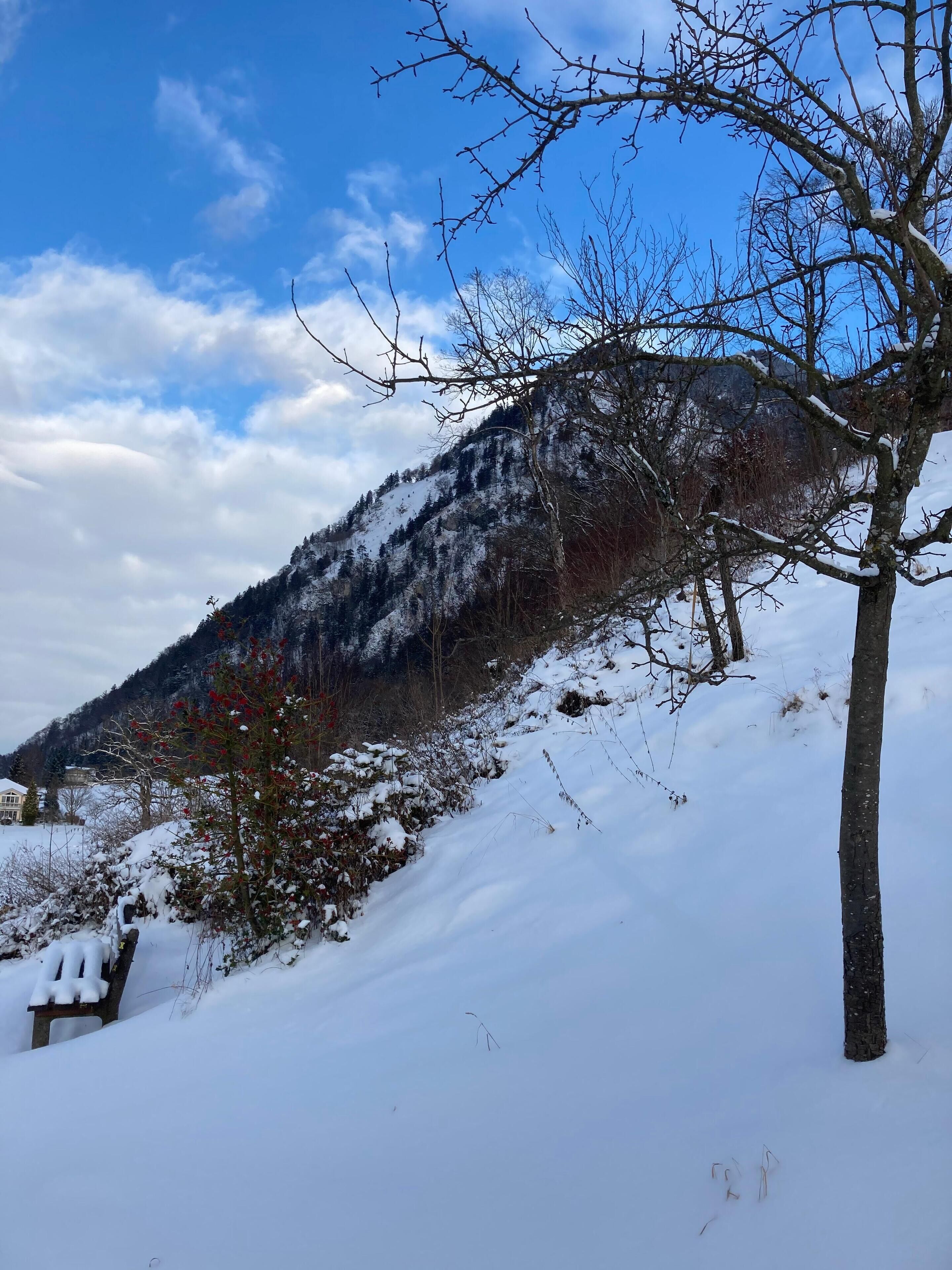 A snow-covered mountain landscape with a clear sky.