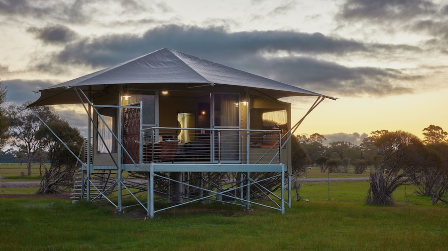Willow Wood Glamping Retreat