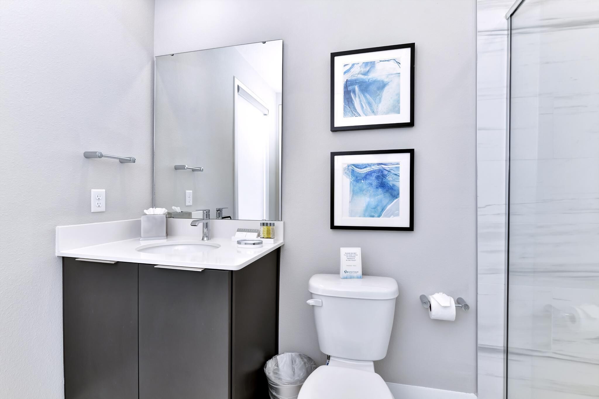 Un baño moderno con un lavabo blanco, muebles oscuros, un espejo grande, dos obras de arte enmarcadas y una cabina de ducha de vidrio.